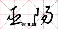 梁锦英巫阳草书怎么写