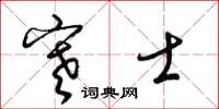 梁锦英寒士草书怎么写