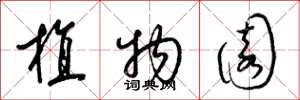 梁锦英植物园草书怎么写