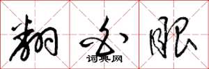 梁锦英翻白眼草书怎么写