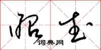 梁锦英昭武草书怎么写