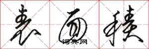 骆恒光表面积草书怎么写