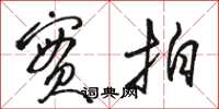 骆恒光实拍草书怎么写
