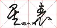 骆恒光星表草书怎么写