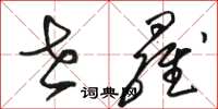 骆恒光世罗草书怎么写