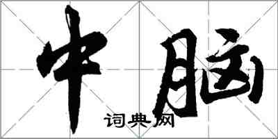胡问遂中脑行书怎么写