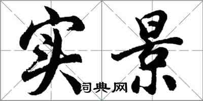 胡问遂实景行书怎么写