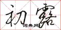 骆恒光初露行书怎么写