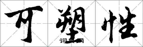 胡问遂可塑性行书怎么写