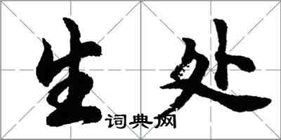 胡问遂生处行书怎么写