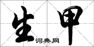 胡问遂生甲行书怎么写