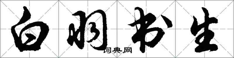 胡问遂白羽书生行书怎么写