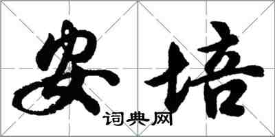 胡问遂安培行书怎么写