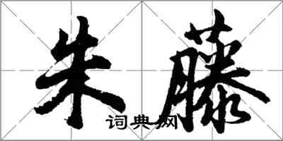 胡问遂朱藤行书怎么写