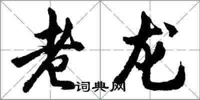 胡问遂老龙行书怎么写