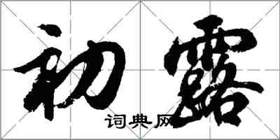 胡问遂初露行书怎么写
