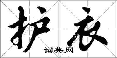 胡问遂护衣行书怎么写