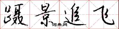 钱沛云蹑景追飞行书怎么写