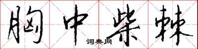 钱沛云胸中柴棘行书怎么写