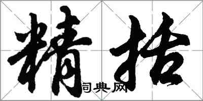 胡问遂精括行书怎么写