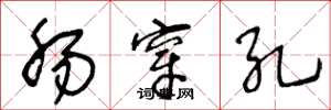 王冬龄肠穿孔草书怎么写