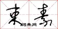 王冬龄束素草书怎么写