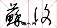 王冬龄苏复草书怎么写