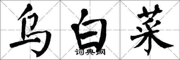 翁闿运乌白菜楷书怎么写
