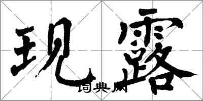 翁闿运现露楷书怎么写