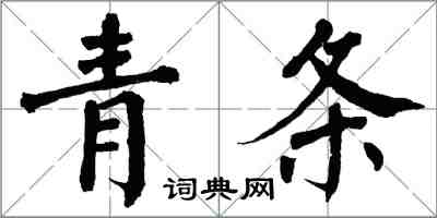 翁闿运青条楷书怎么写