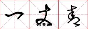 王冬龄一丈青草书怎么写