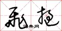 王冬龄飞挝草书怎么写