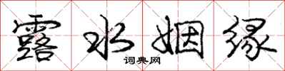 庞中华露水姻缘行书怎么写