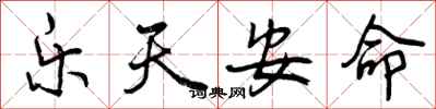 曾庆福乐天安命行书怎么写