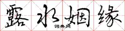 曾庆福露水姻缘行书怎么写