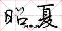 曾庆福昭夏行书怎么写