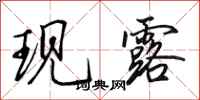 田英章现露行书怎么写