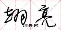 王冬龄翊亮草书怎么写