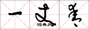 刘少英一丈青草书怎么写