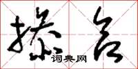 刘少英掺合草书怎么写
