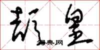 刘少英颉皇草书怎么写