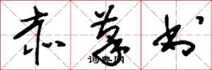 刘少英赤笔书草书怎么写