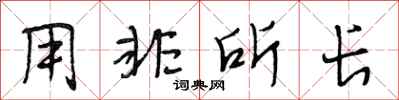 段相林用非所长行书怎么写