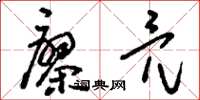 刘少英廖亮草书怎么写