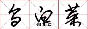 朱锡荣乌白菜草书怎么写