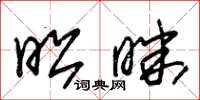 朱锡荣昭昧草书怎么写