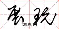 朱锡荣展玩草书怎么写