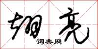 朱锡荣翊亮草书怎么写