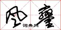 朱锡荣风銮草书怎么写