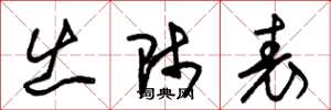 朱锡荣出师表草书怎么写